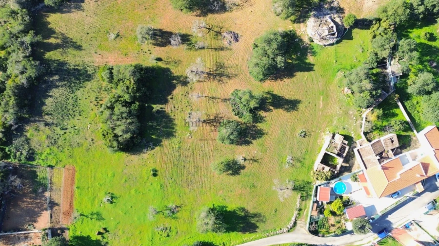 Terreno Misto para Venda em Ferreiras