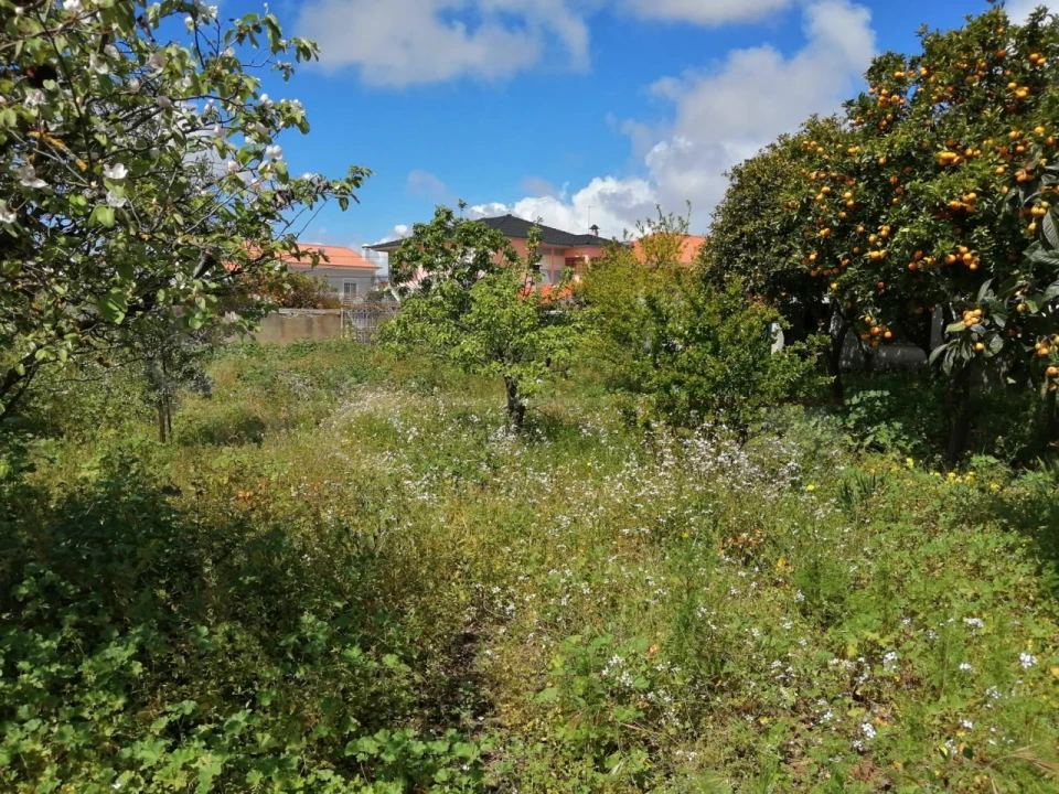 Moradia T3 para Venda em Fernao Ferro Foto 4