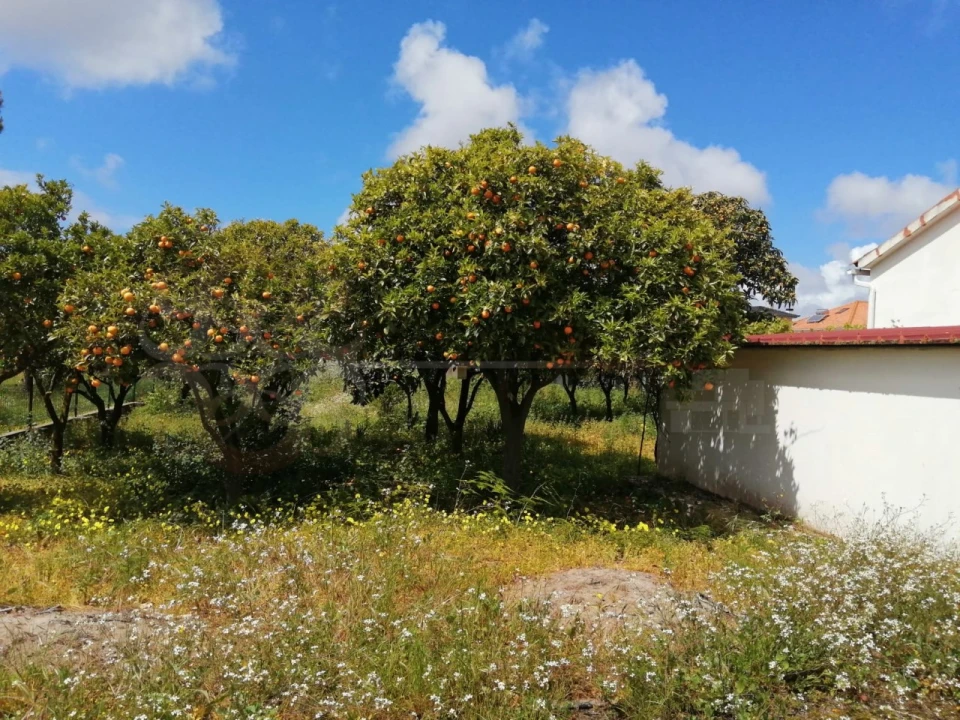 Moradia T3 para Venda em Fernao Ferro Foto 6