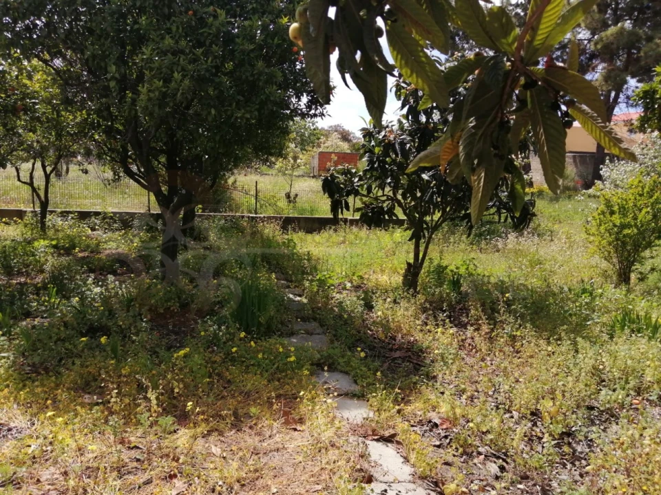 Moradia T3 para Venda em Fernao Ferro Foto 19