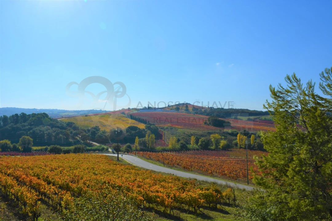 Moradia T3 para Venda em Ribafria e Pereiro de Palhacana Foto 12