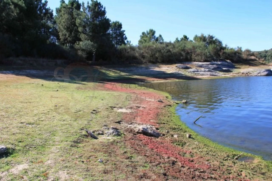 Moradia para Venda em Alverca da Beira/Bouça Cova Foto 24