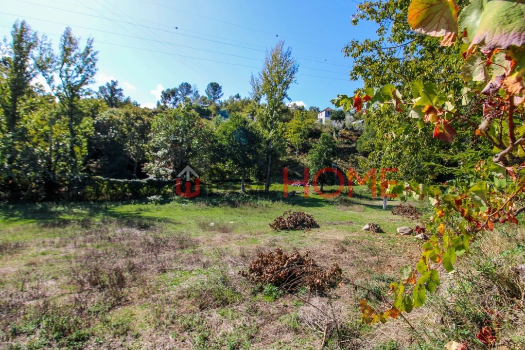 Quinta T5 para Venda em Cinfães Foto 14