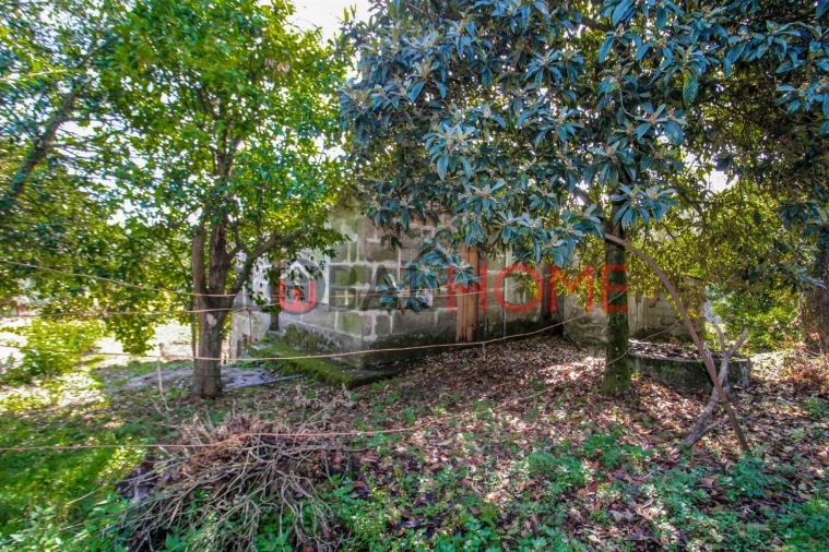 Quinta T5 para Venda em Cinfães Foto 6