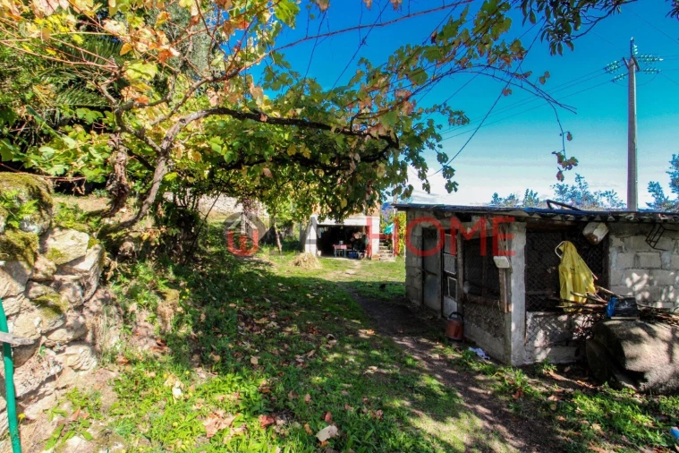 Quinta T5 para Venda em Cinfães Foto 9