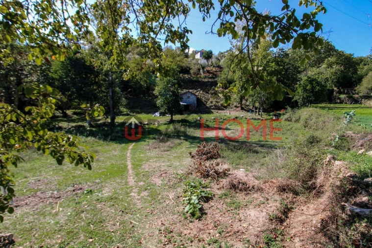 Quinta T5 para Venda em Cinfães Foto 13