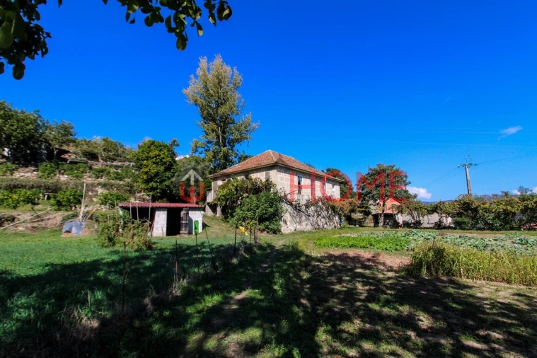 Quinta T5 para Venda em Cinfães Foto 11