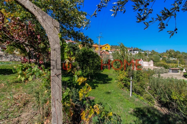 Quinta T5 para Venda em Cinfães Foto 16