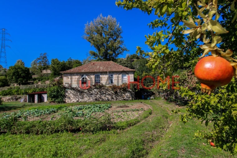 Quinta T5 para Venda em Cinfães Foto 2