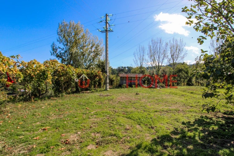 Quinta T5 para Venda em Cinfães Foto 15