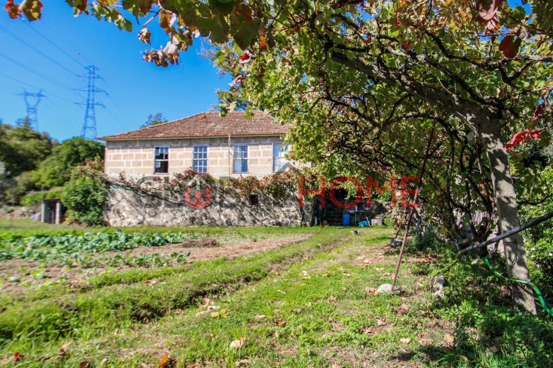 Quinta T5 para Venda em Cinfães Foto 3