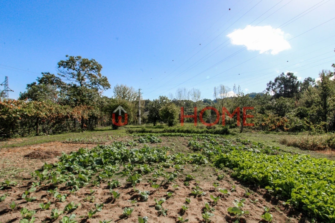 Quinta T5 para Venda em Cinfães Foto 10