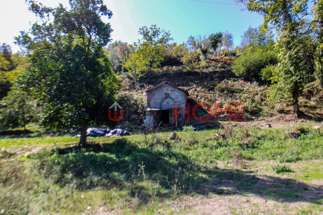 Quinta T5 para Venda em Cinfães Foto 19