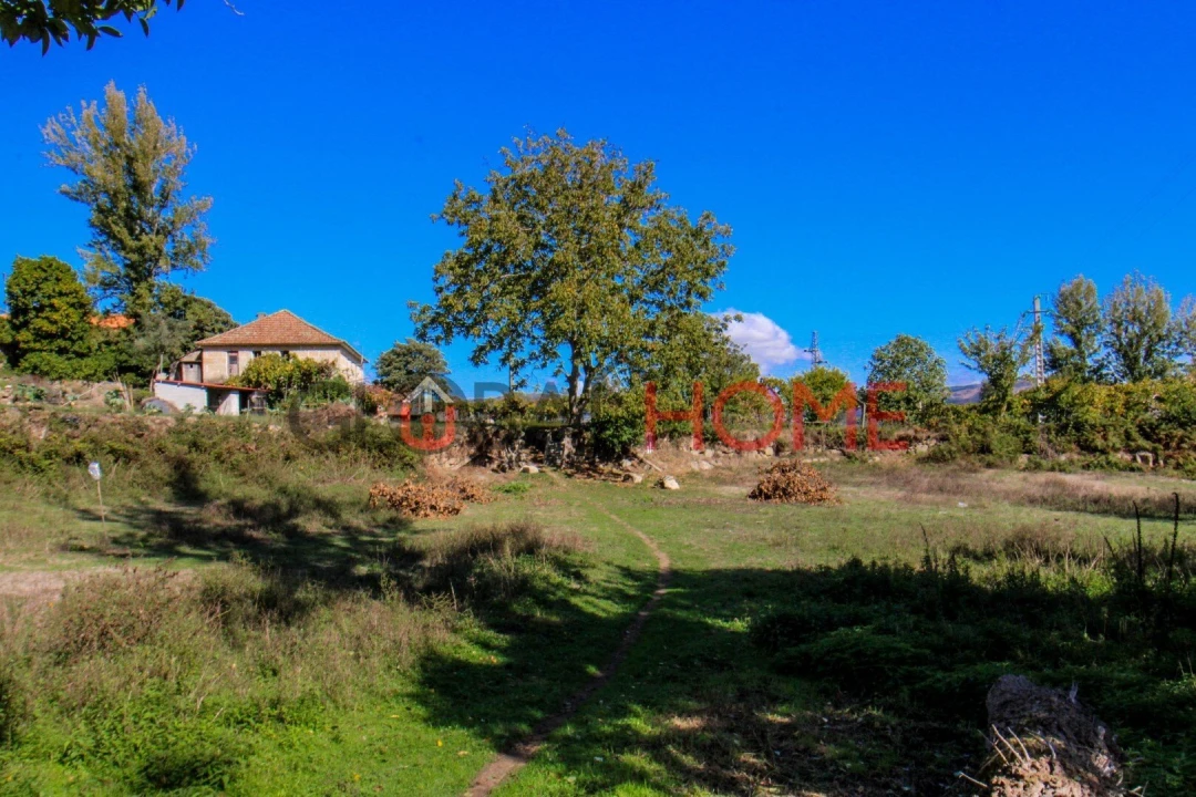 Quinta T5 para Venda em Cinfães Foto 20