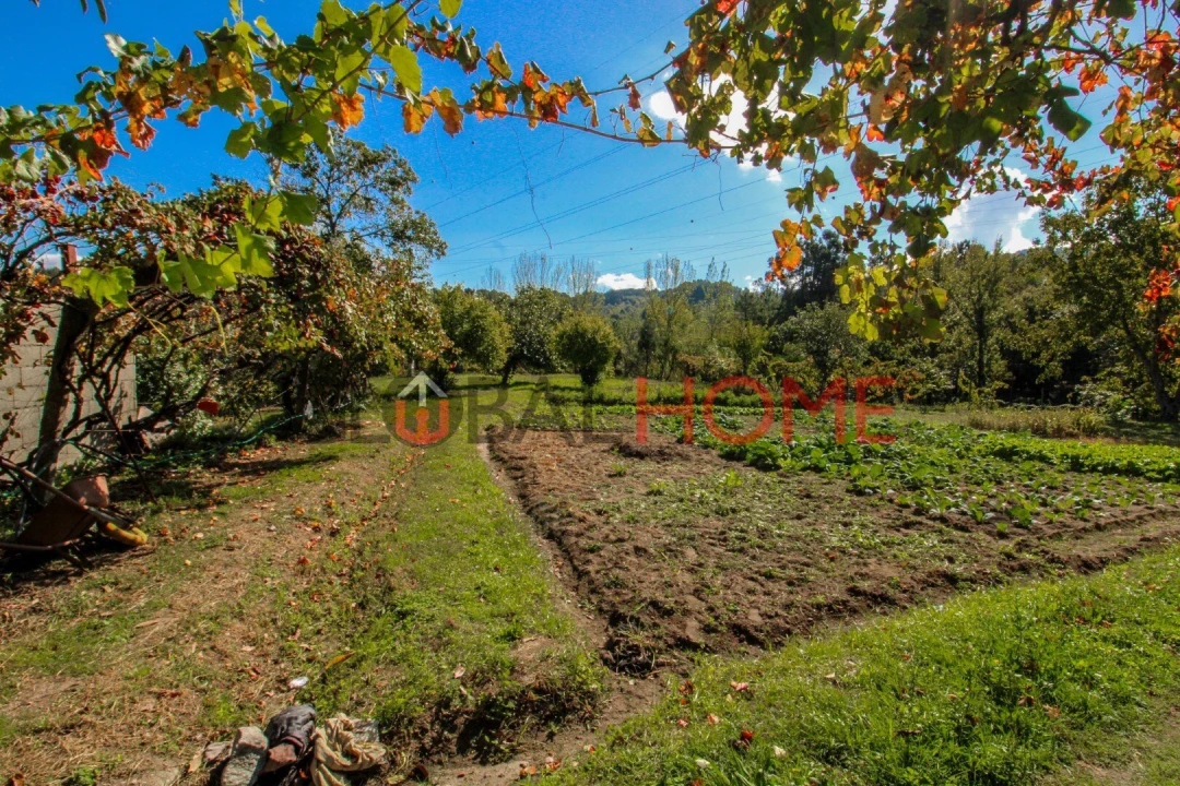 Quinta T5 para Venda em Cinfães Foto 7