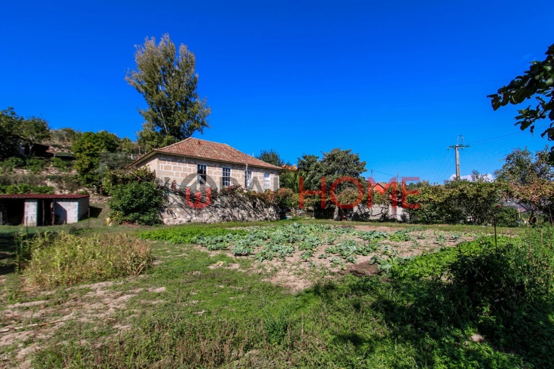 Quinta T5 para Venda em Cinfães Foto 1