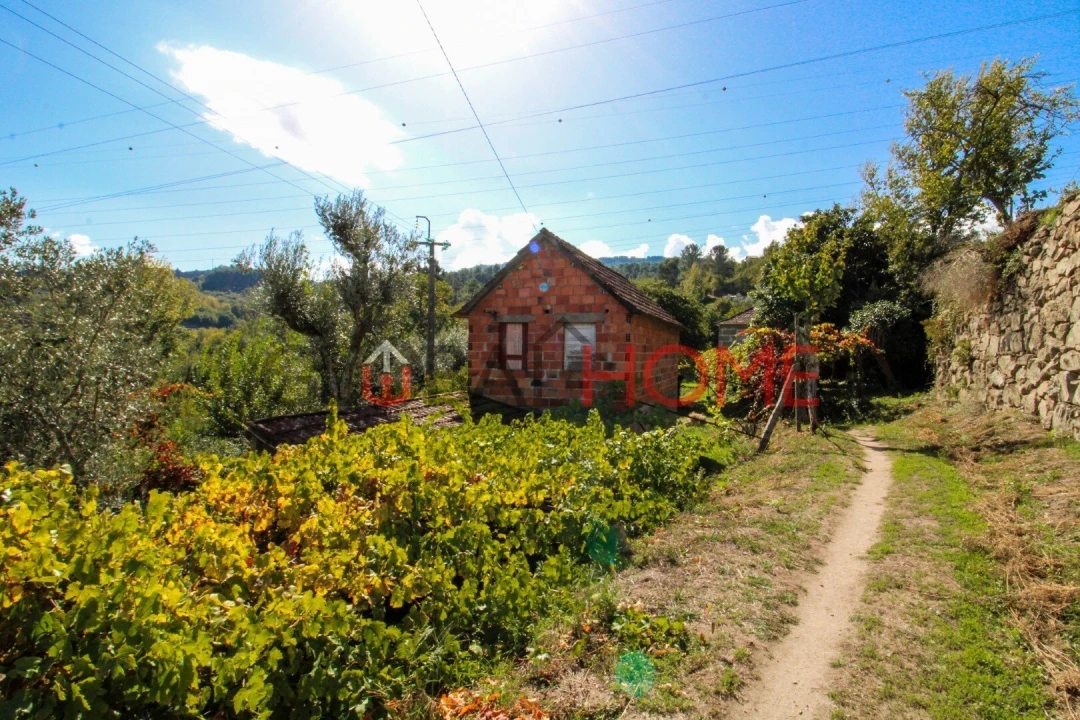 Quinta T5 para Venda em Cinfães Foto 5