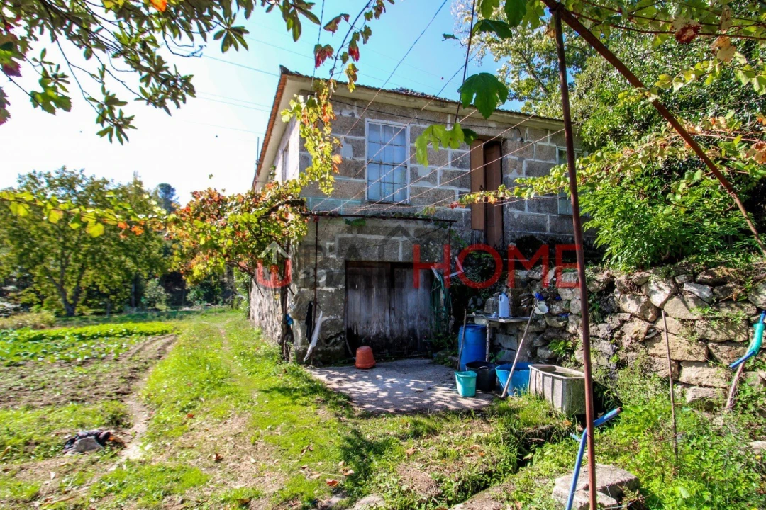 Quinta T5 para Venda em Cinfães Foto 4