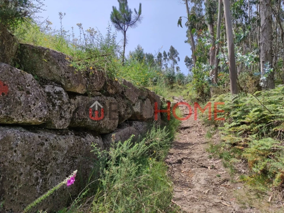 Terreno para Venda em Vilela Foto 9