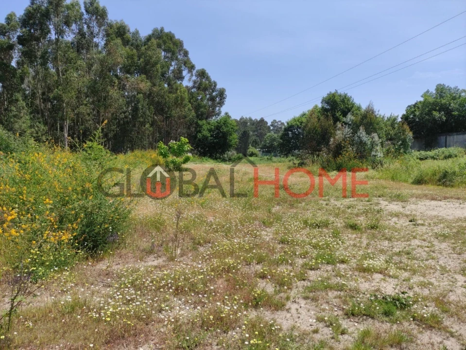 Terreno para Venda em Vilela Foto 8