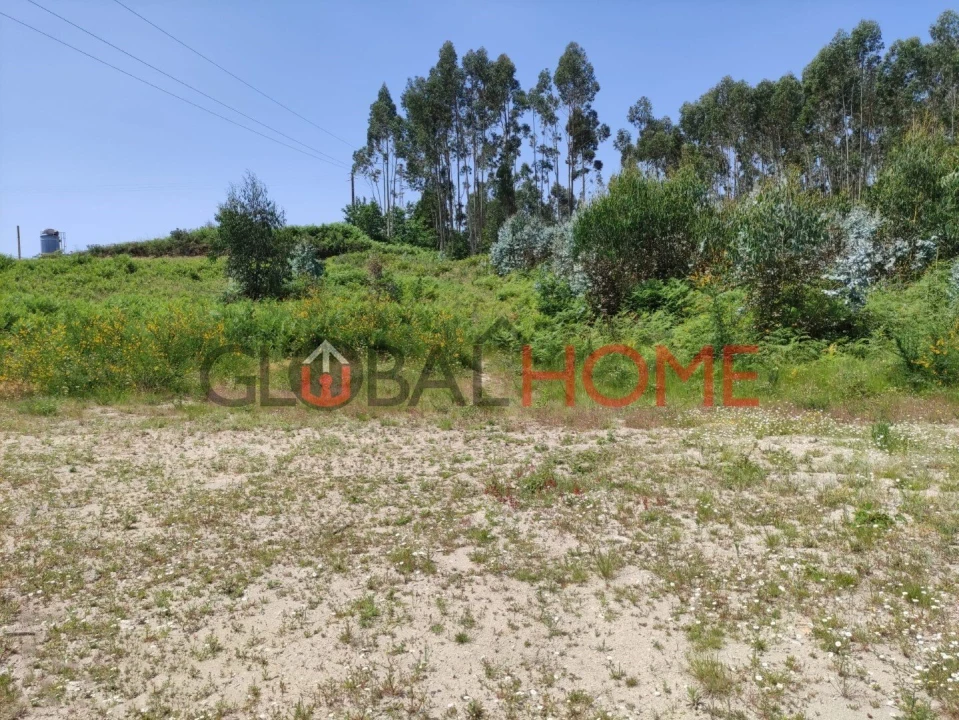 Terreno para Venda em Vilela Foto 3
