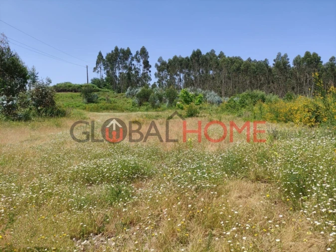 Terreno para Venda em Vilela Foto 4