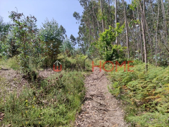 Terreno para Venda em Vilela Foto 7