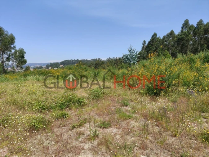 Terreno para Venda em Vilela Foto 5