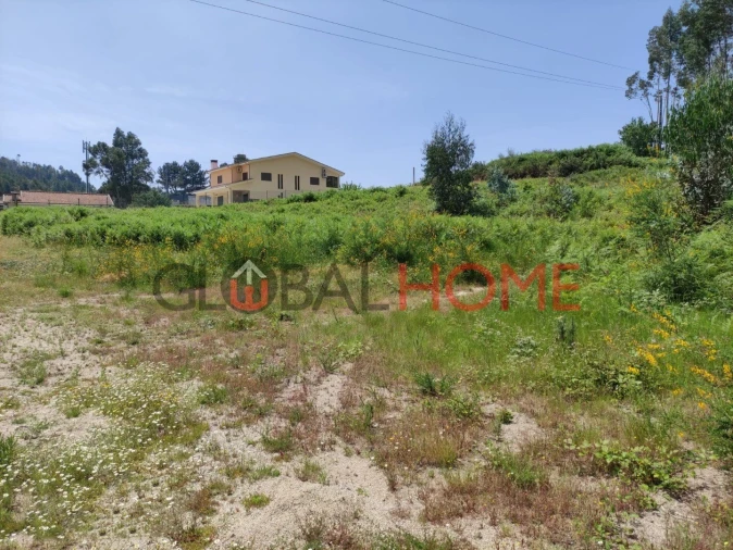 Terreno para Venda em Vilela Foto 6