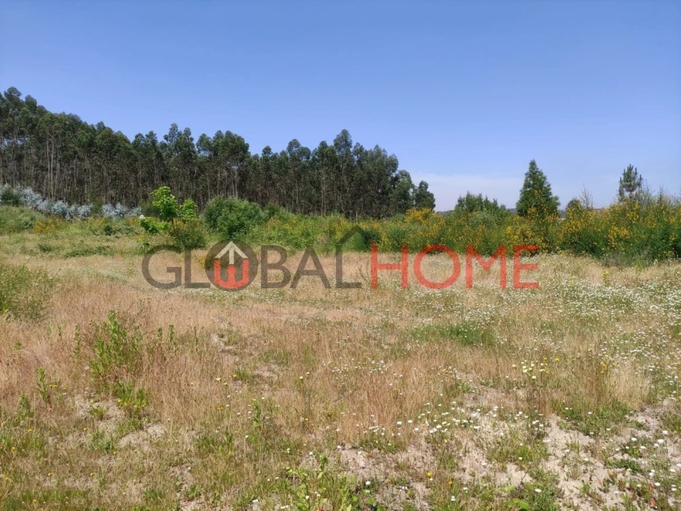 Terreno para Venda em Vilela Foto 1