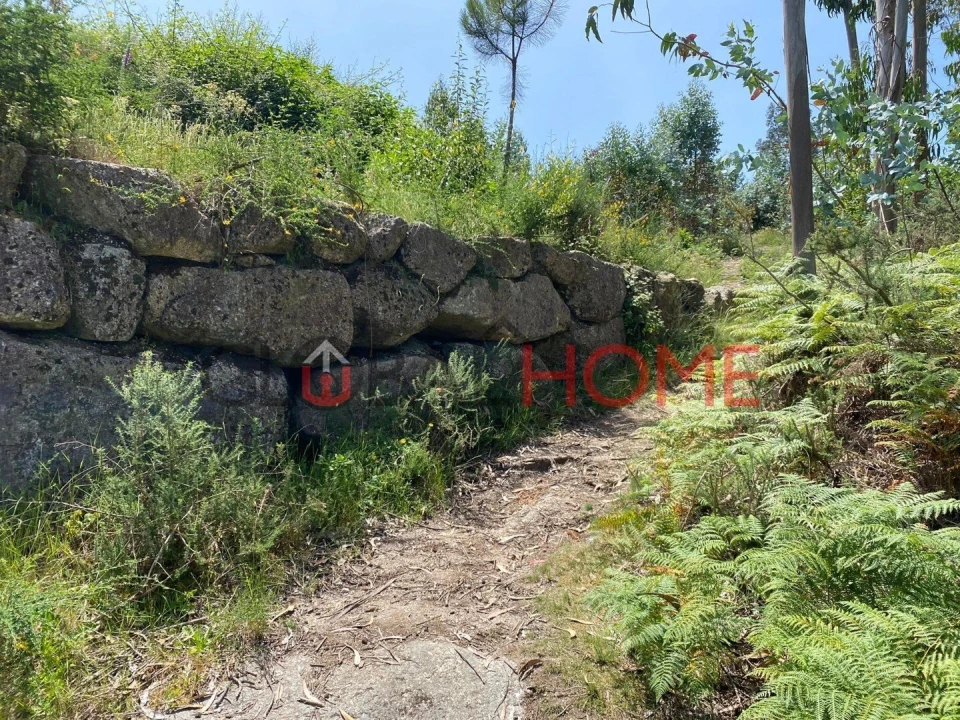Terreno para Venda em Vilela Foto 10