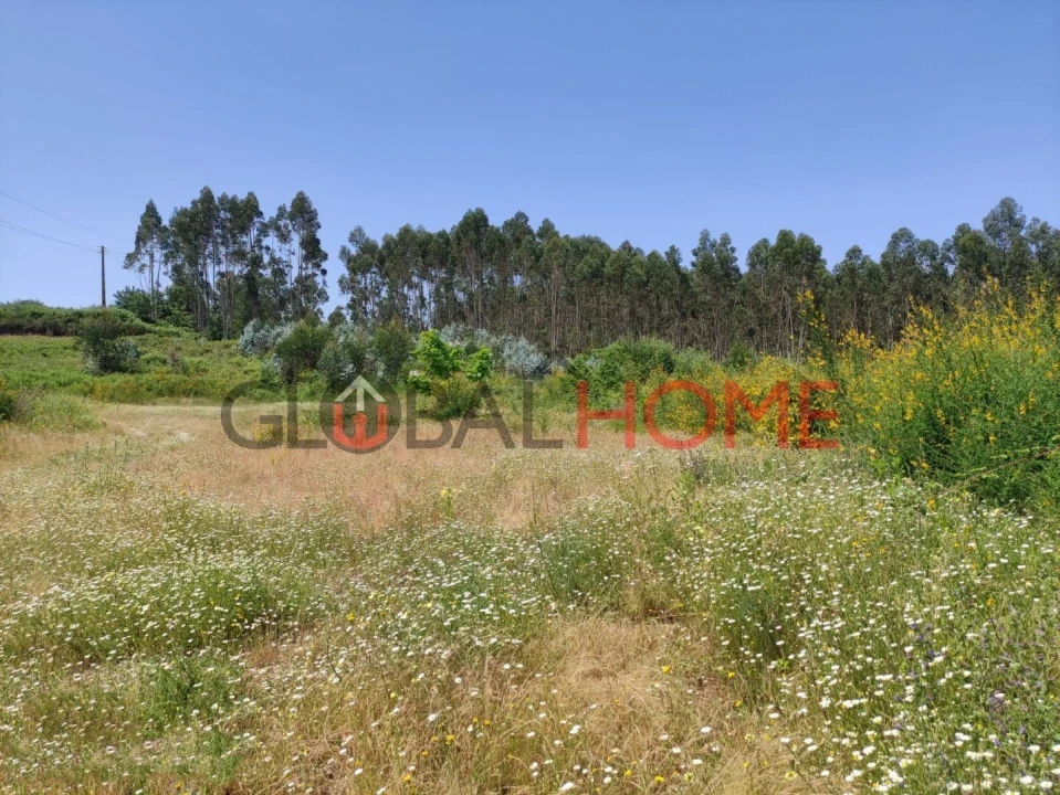 Terreno para Venda em Vilela Foto 2