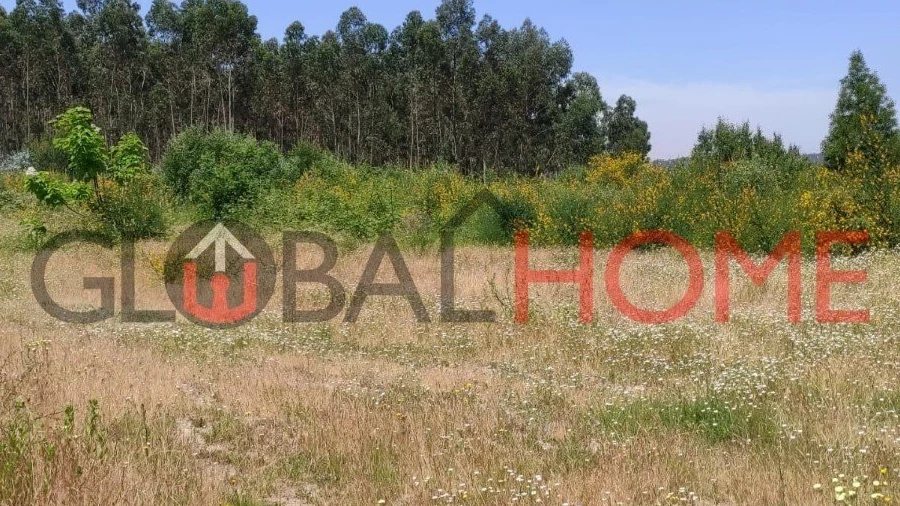 Terreno para Venda em Vilela