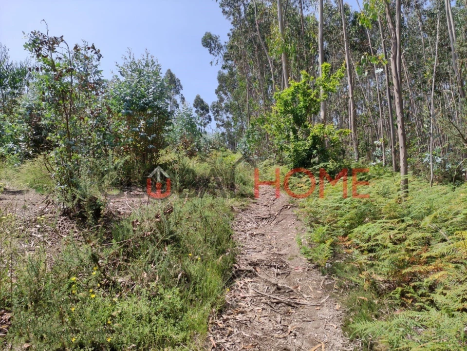 Terreno para Venda em Vilela Foto 7
