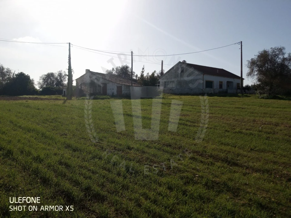 Quinta T2 para Venda em São Luis Foto 6