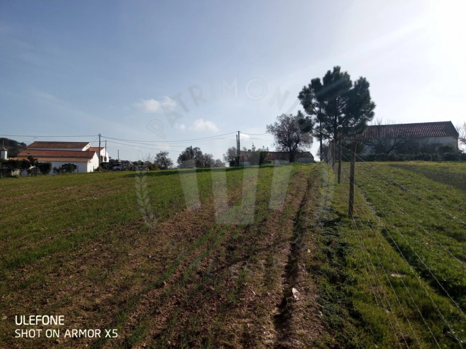 Quinta T2 para Venda em São Luis Foto 8