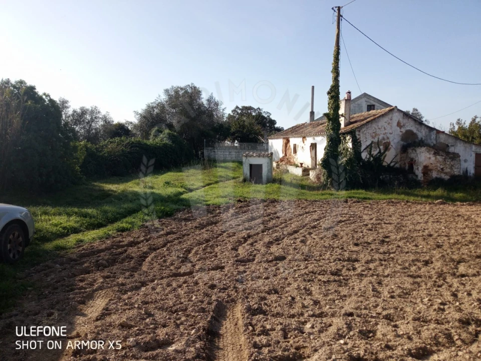 Quinta T2 para Venda em São Luis Foto 21