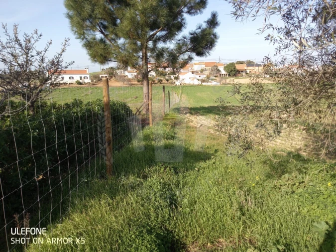 Quinta T2 para Venda em São Luis Foto 12