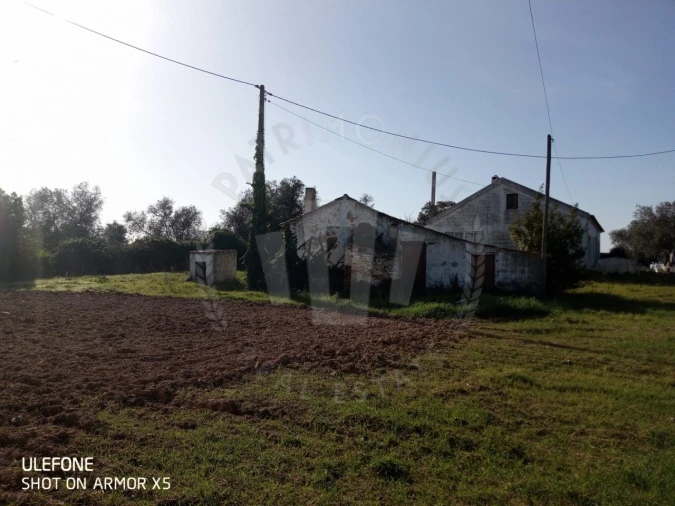 Quinta T2 para Venda em São Luis Foto 15