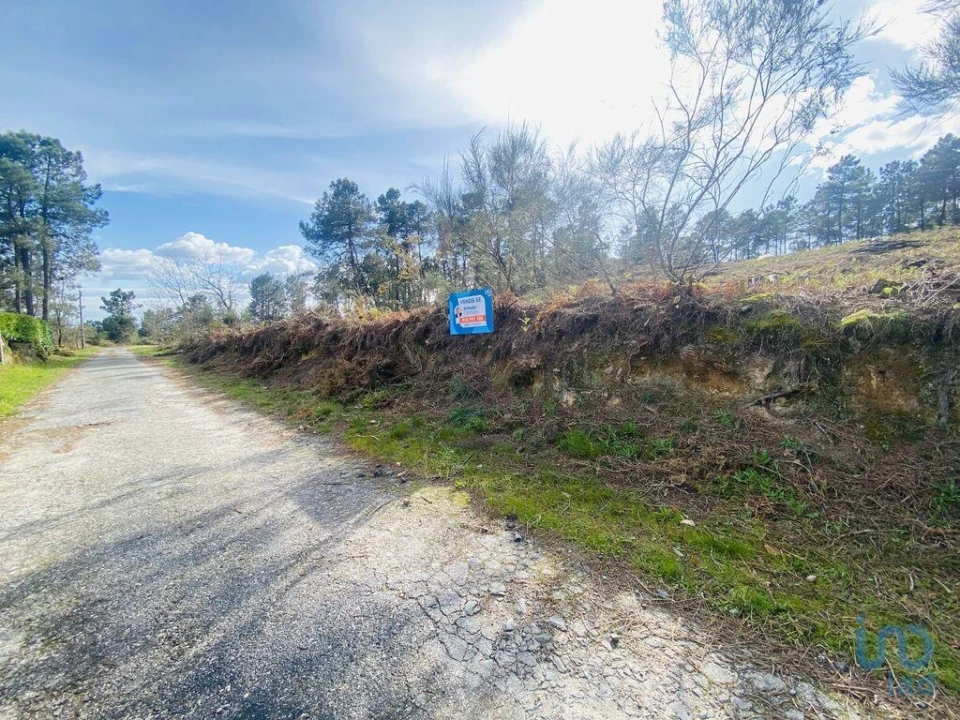 Terreno para Venda em Mouçós e Lamares Foto 2