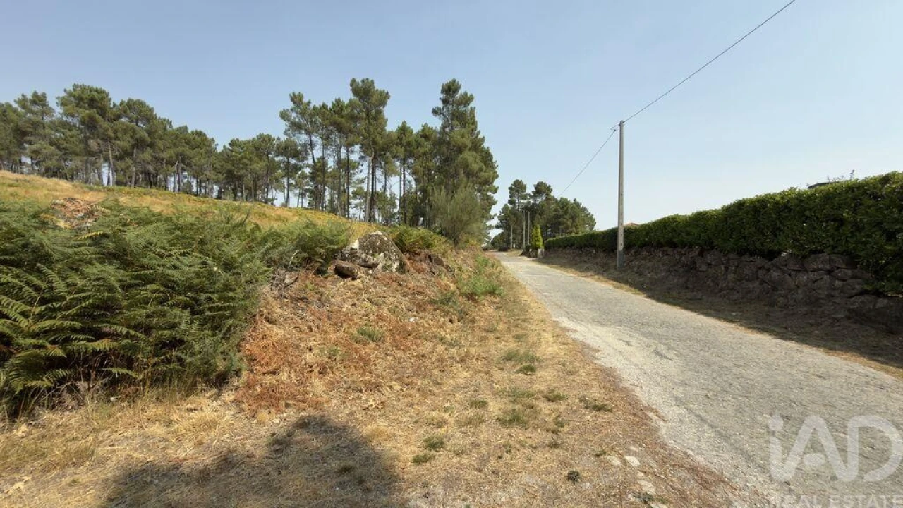 Terreno para Venda em Mouçós e Lamares Foto 1