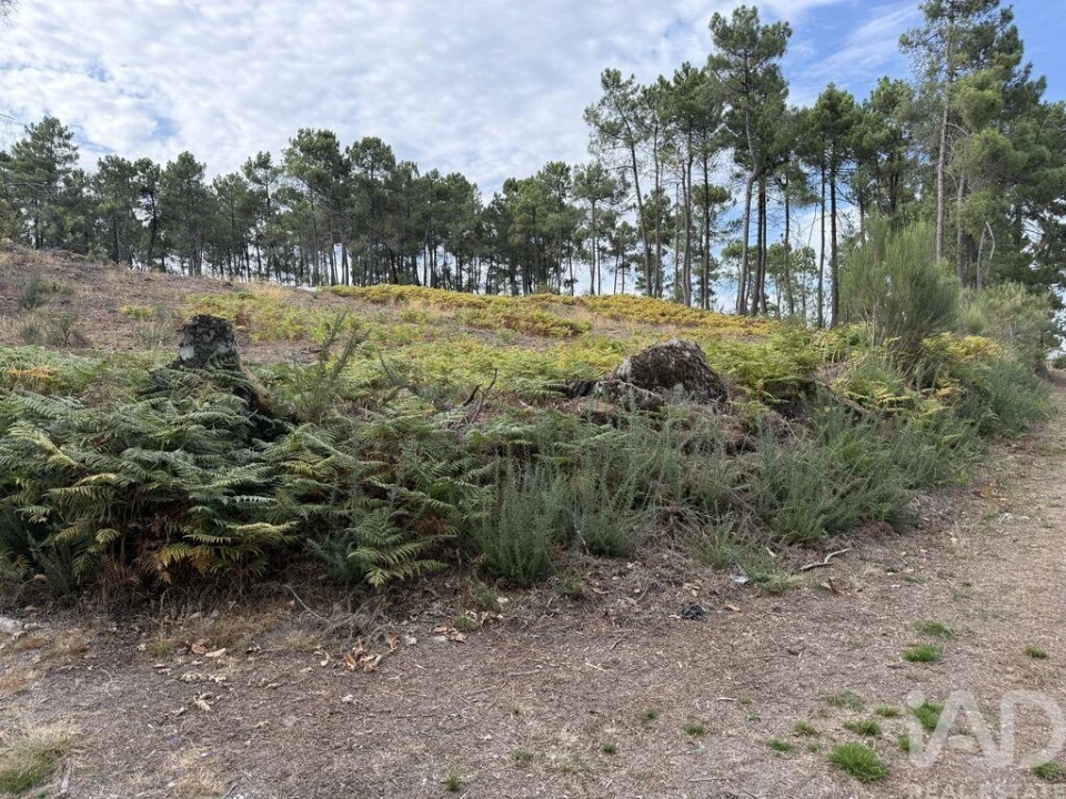 Terreno para Venda em Mouçós e Lamares Foto 23