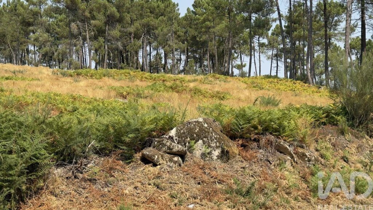 Terreno para Venda em Mouçós e Lamares Foto 28