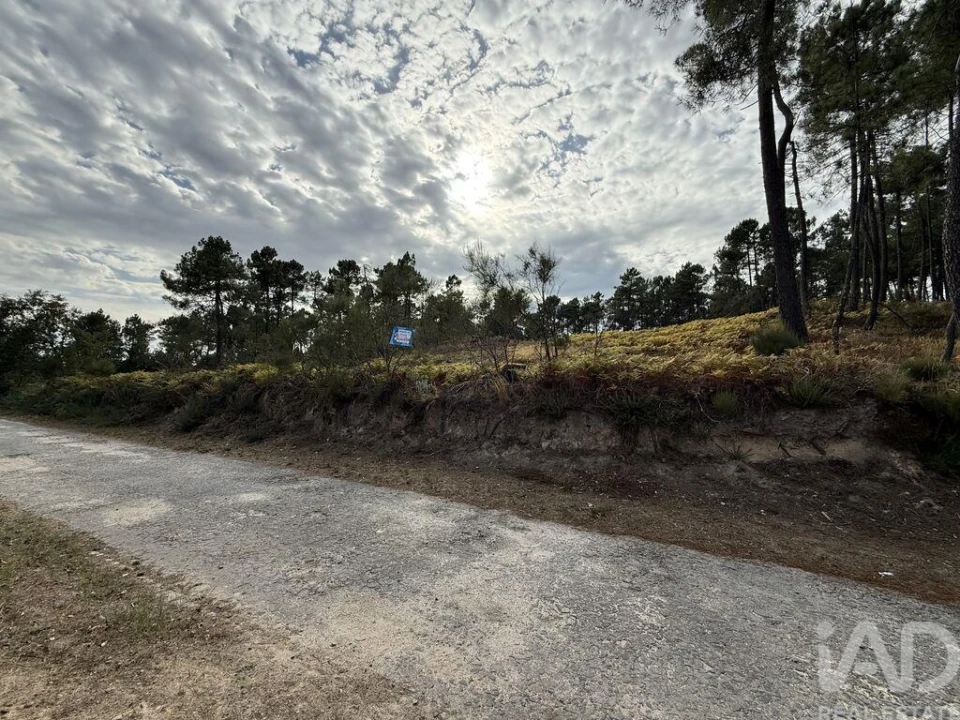 Terreno para Venda em Mouçós e Lamares Foto 6