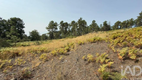 Terreno para Venda em Mouçós e Lamares