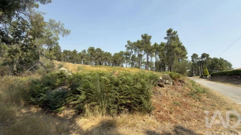Terreno para Venda em Mouçós e Lamares