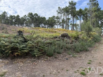 Terreno para Venda em Mouçós e Lamares