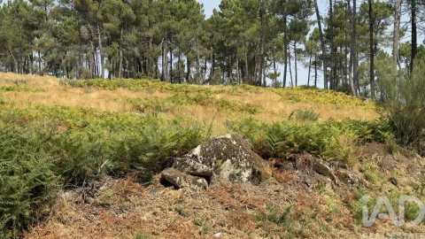 Terreno para Venda em Mouçós e Lamares