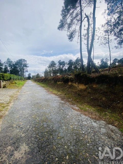 Terreno para Venda em Mouçós e Lamares