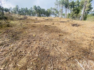 Terreno para Venda em Mouçós e Lamares